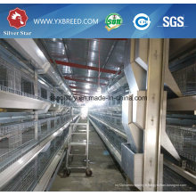 Équipement de volaille de type H pour broilers